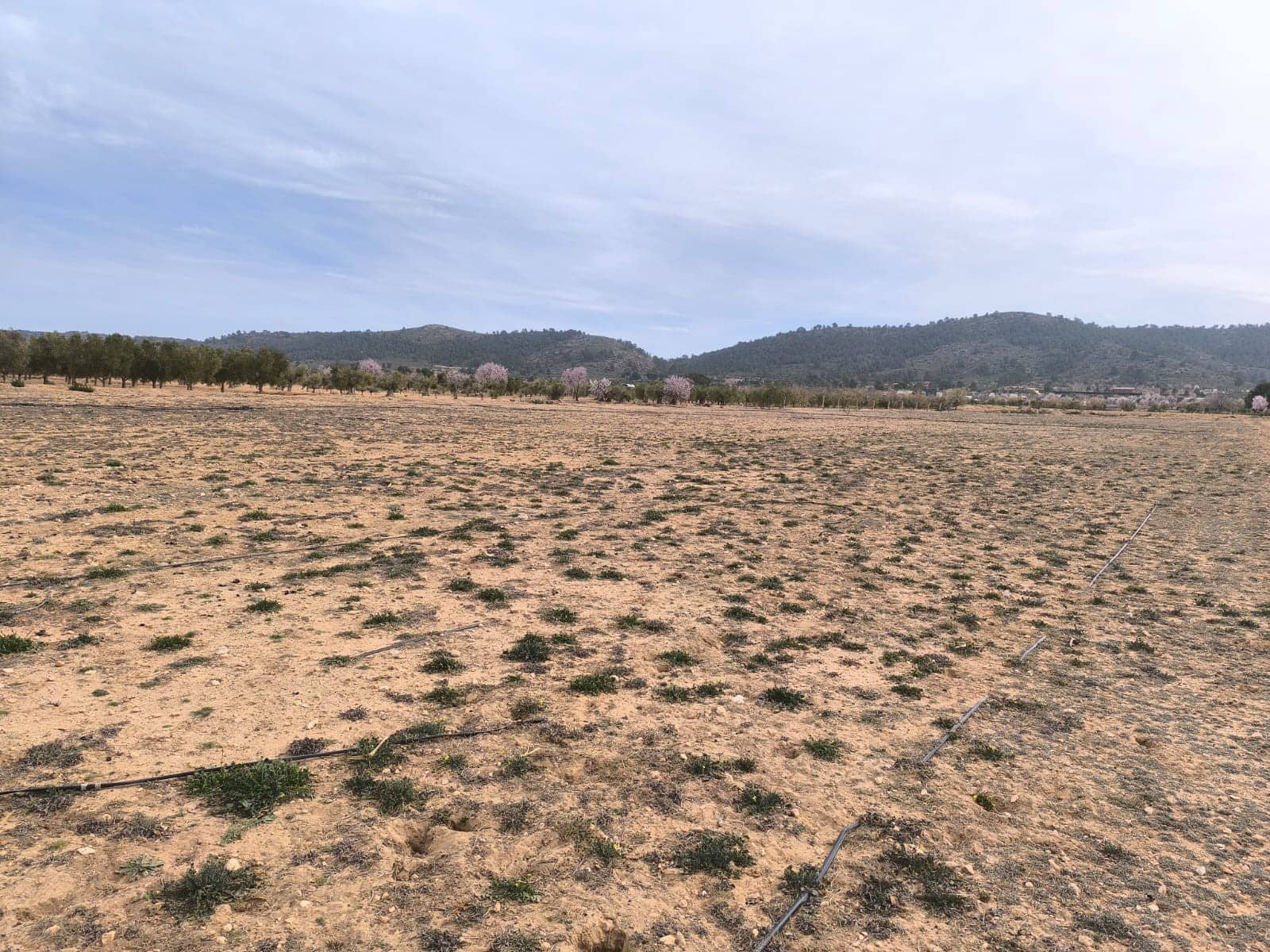 Grunde uden byggetilladelser til salg i Villena - € 66.995 (Ref: 8947034)