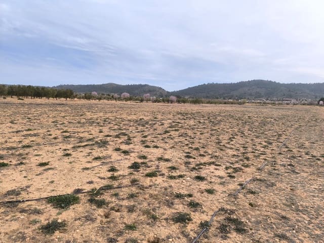 Mark till salu i Villena - 66 995 € (Ref: 8947034)