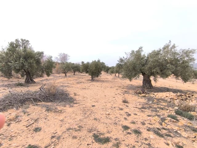 Mark till salu i Villena - 66 995 € (Ref: 8947034)