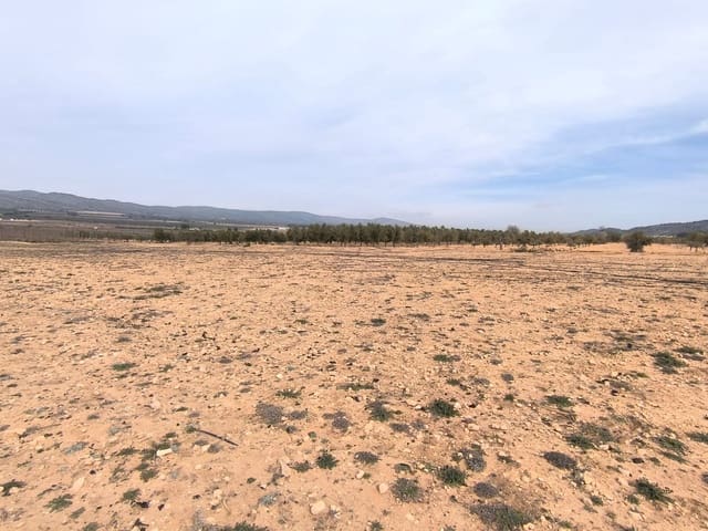 Mark till salu i Villena - 66 995 € (Ref: 8947034)