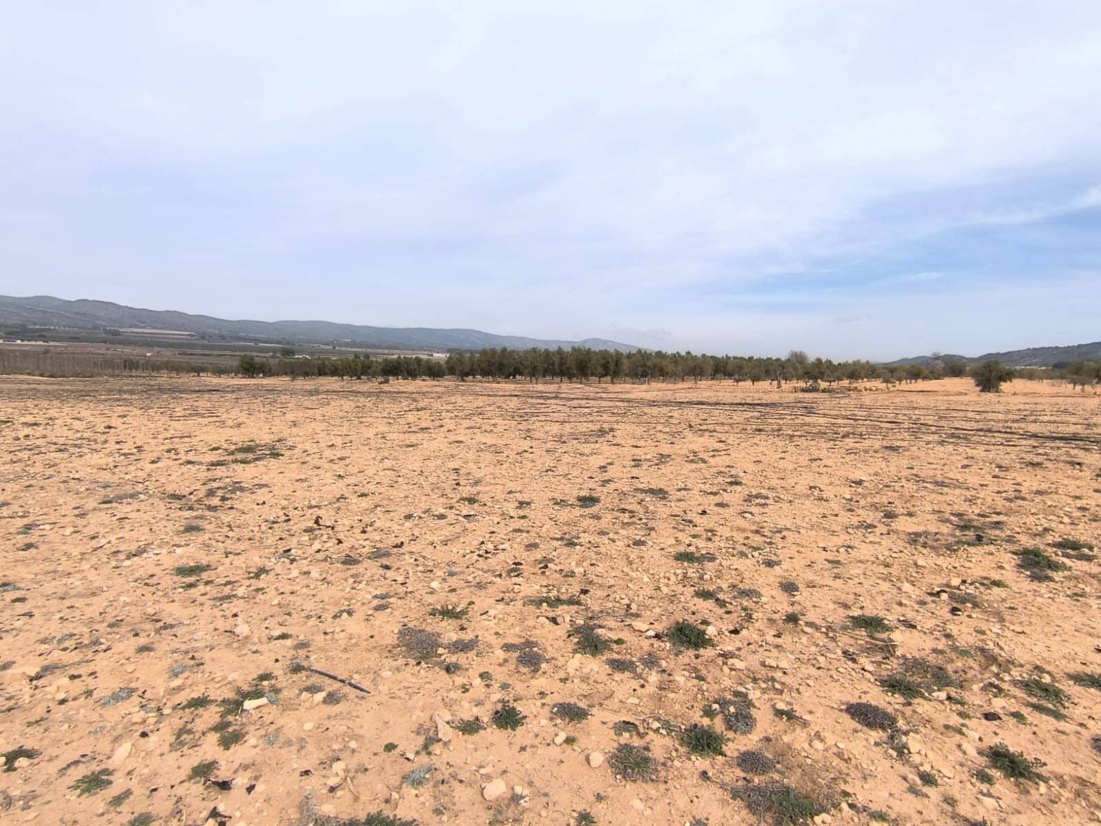 Terre non Aménagée à vendre à Villena - 66 995 € (Ref: 8947034)