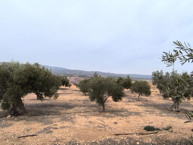 Mark till salu i Villena - 66 995 € (Ref: 8947034)