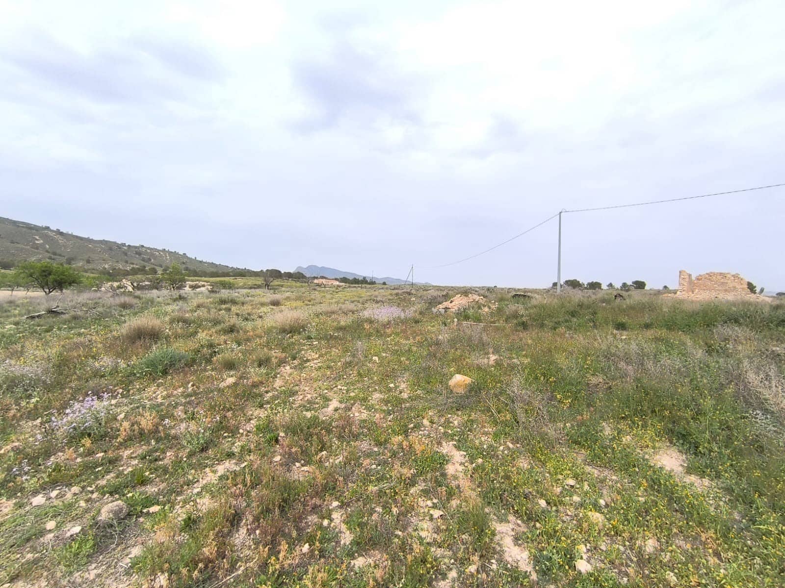 8 soveværelse Finca/Landehus til salg i Jumilla med garage - € 64.990 (Ref: 8947035)