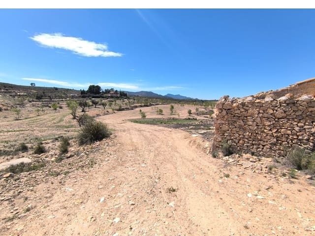 2 bedroom Finca/Country House for sale in Rodriguillo, Pinoso - € 49,500 (Ref: 8947037)