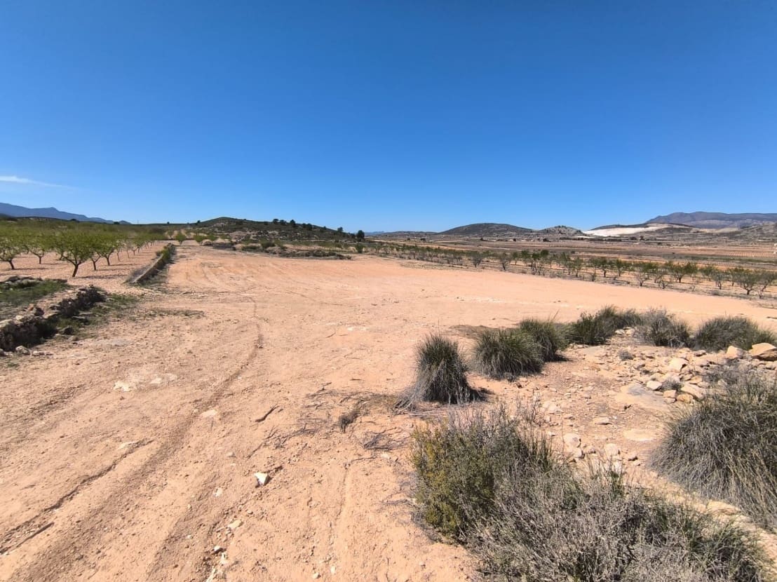 2 soveværelse Finca/Landehus til salg i Pinoso - € 49.500 (Ref: 8947037)