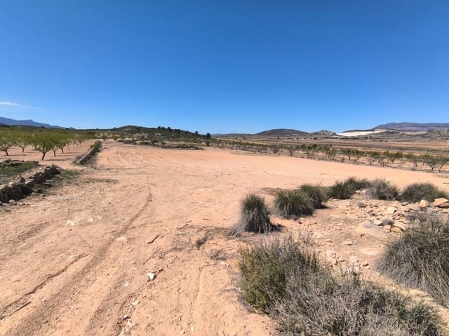 2 bedroom Finca/Country House for sale in Rodriguillo, Pinoso - € 49,500 (Ref: 8947037)