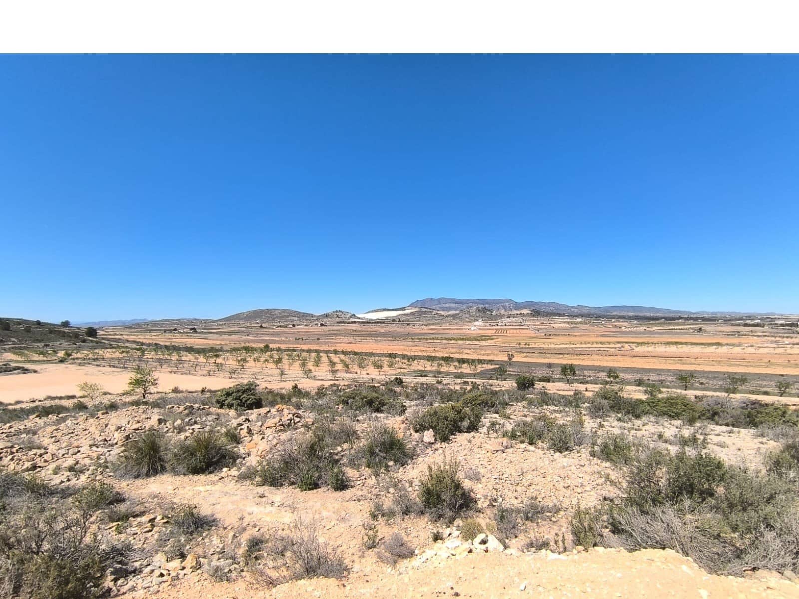 2 soveværelse Finca/Landehus til salg i Pinoso - € 49.500 (Ref: 8947037)