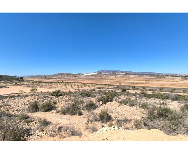 Finca/Casa Rural de 2 habitaciones en Rodriguillo, Pinoso en venta - 49.500 € (Ref: 8947037)