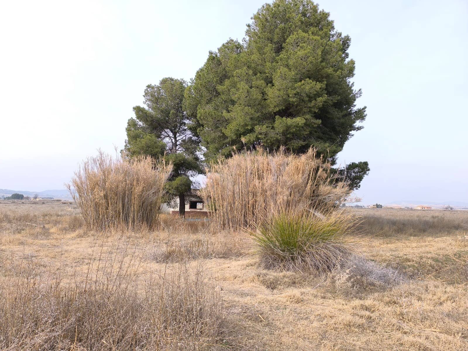 2 soveværelse Finca/Landehus til salg i Villena med swimmingpool - € 62.995 (Ref: 8947038)