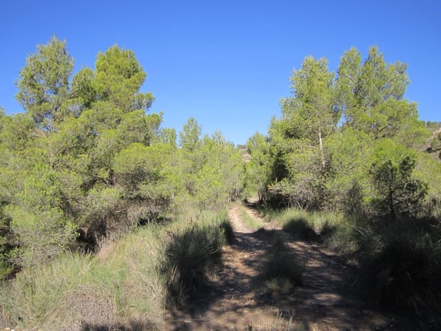 Terre non Aménagée à vendre à Yecla - 24 000 € (Ref: 8951197)