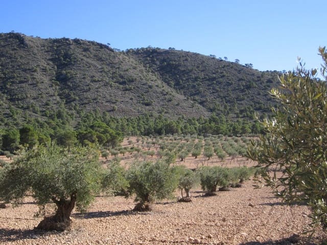 Terreno Non Edificato in vendita in Yecla - 24.000 € (Rif: 8951197)
