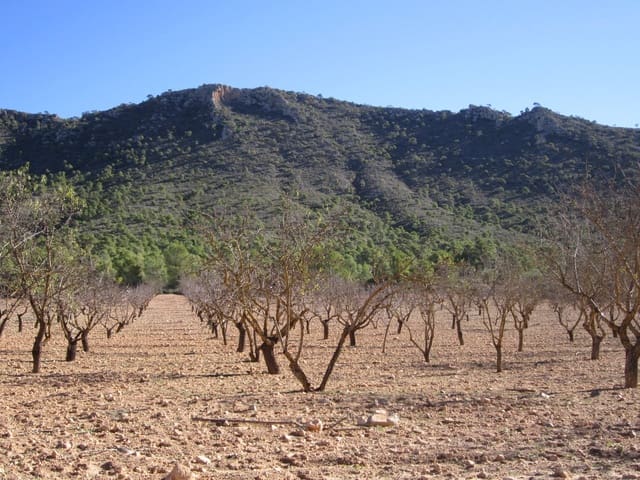 Mark till salu i Yecla - 12 000 € (Ref: 8951198)