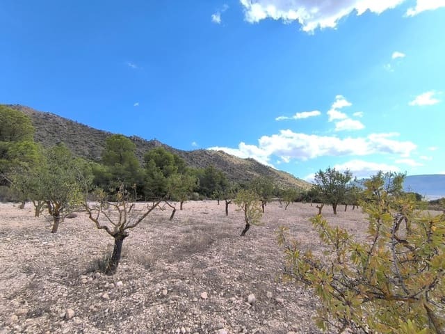 Mark till salu i Yecla - 12 000 € (Ref: 8951198)