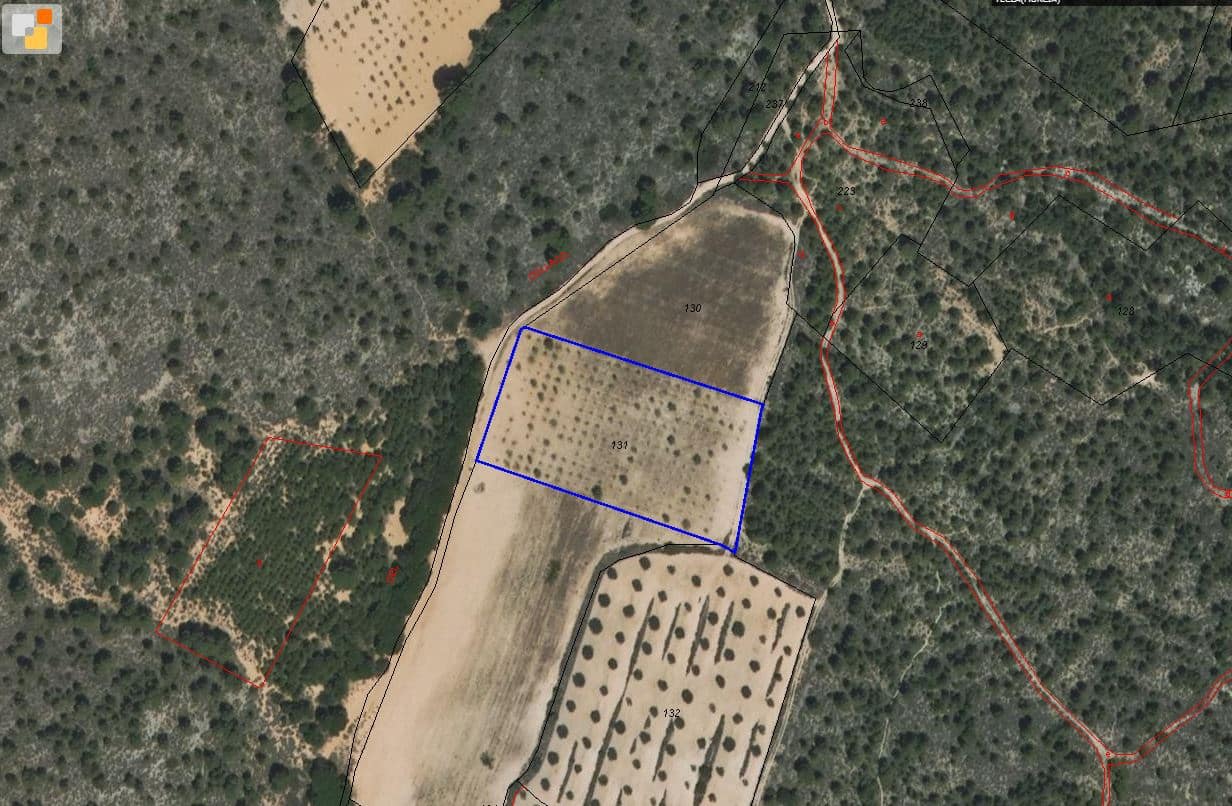 Terre non Aménagée à vendre à Yecla - 12 000 € (Ref: 8951198)