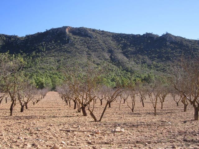 Terreno Non Edificato in vendita in Yecla - 12.000 € (Rif: 8951198)