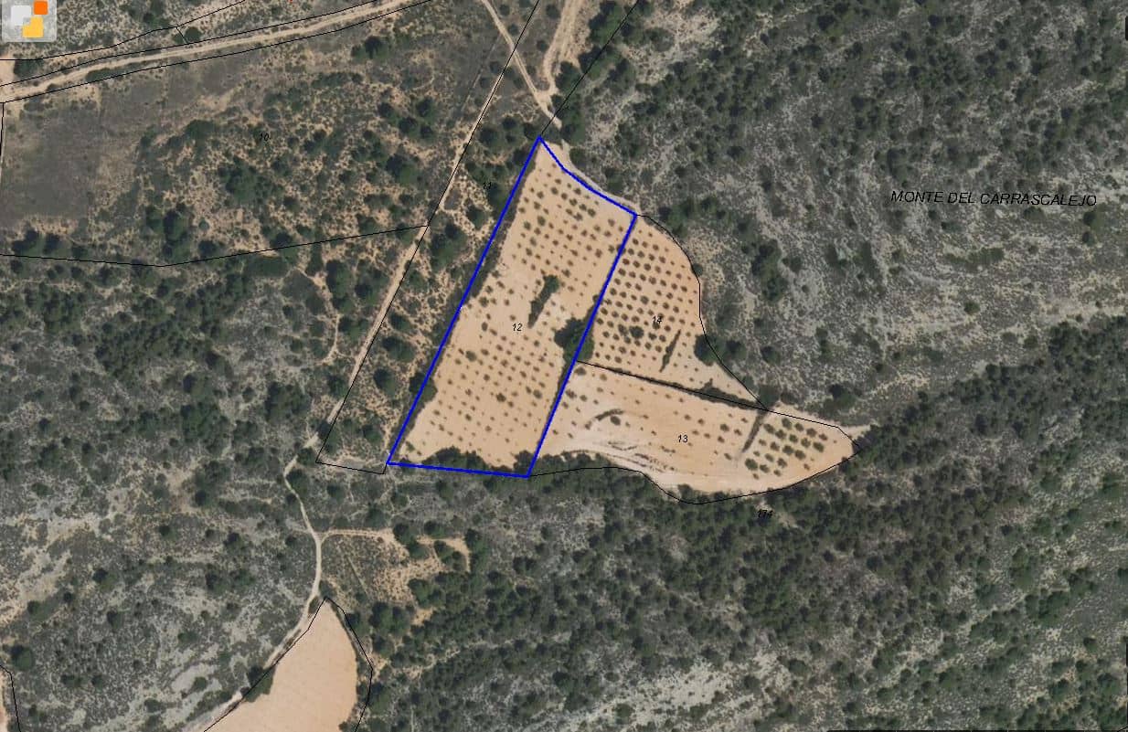 Terre non Aménagée à vendre à Yecla - 14 000 € (Ref: 8951199)