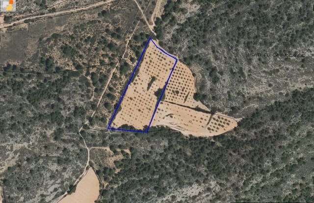 Terreno Non Edificato in vendita in Yecla - 14.000 € (Rif: 8951199)