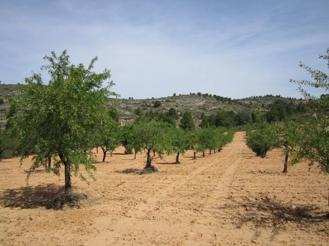 Terreno Non Edificato in vendita in Yecla - 14.000 € (Rif: 8951199)