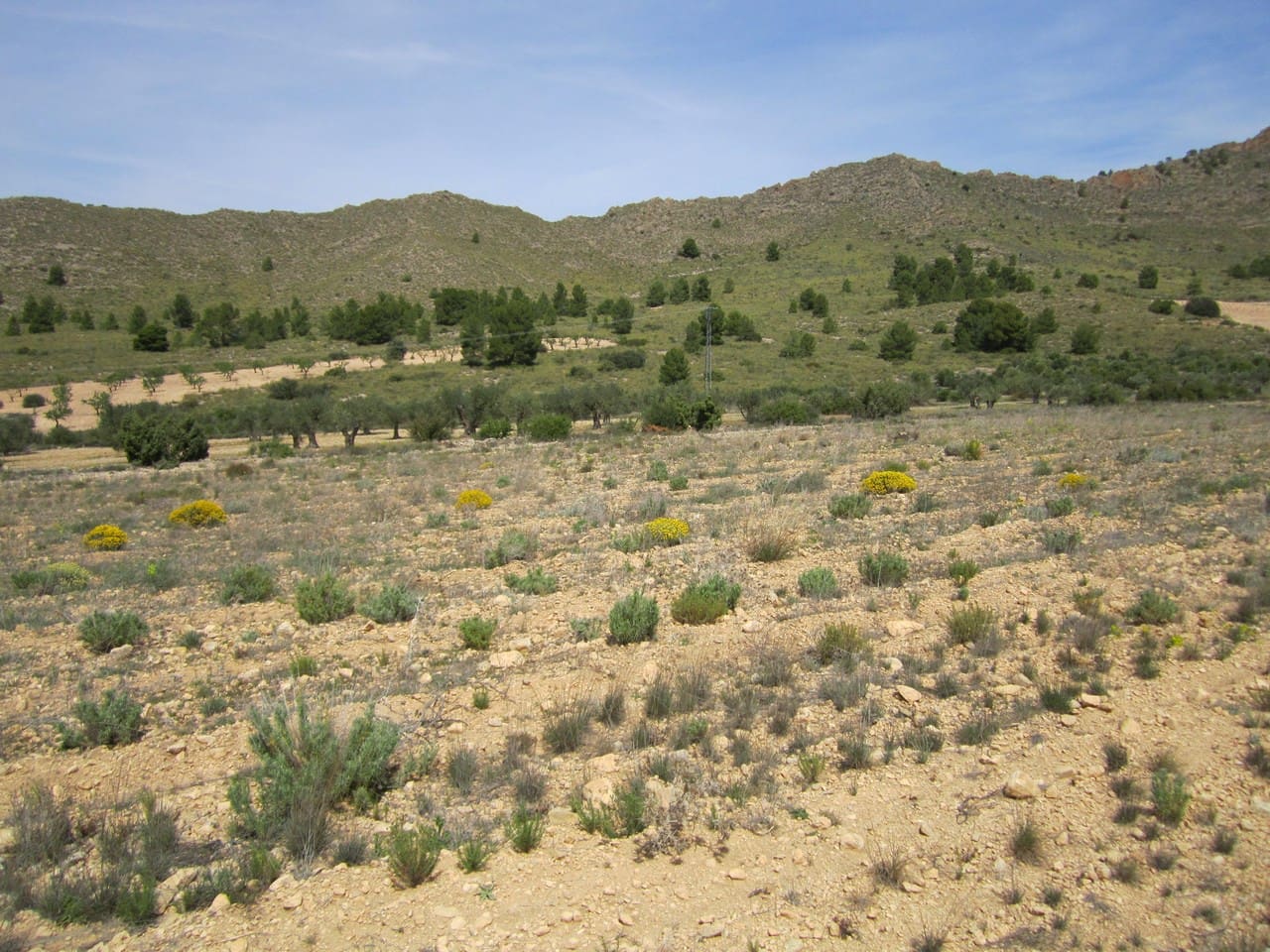 Terre non Aménagée à vendre à Yecla - 12 000 € (Ref: 8951200)