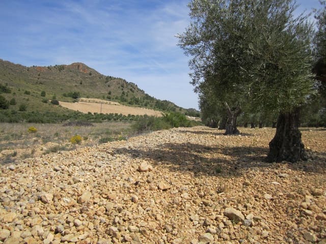 Terre non Aménagée à vendre à Yecla - 12 000 € (Ref: 8951200)