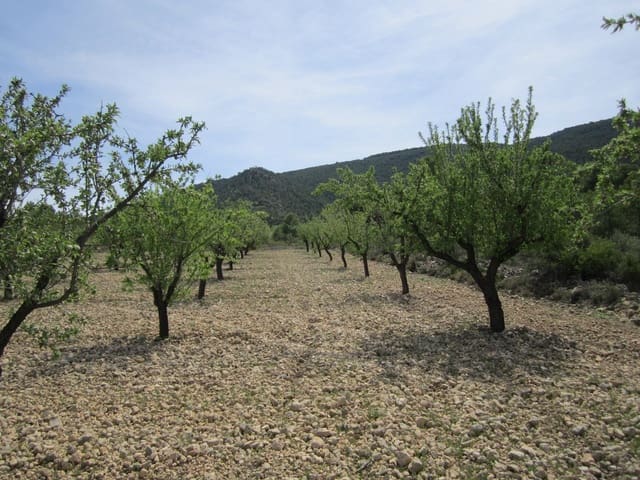 Terre non Aménagée à vendre à Yecla - 15 000 € (Ref: 8951201)