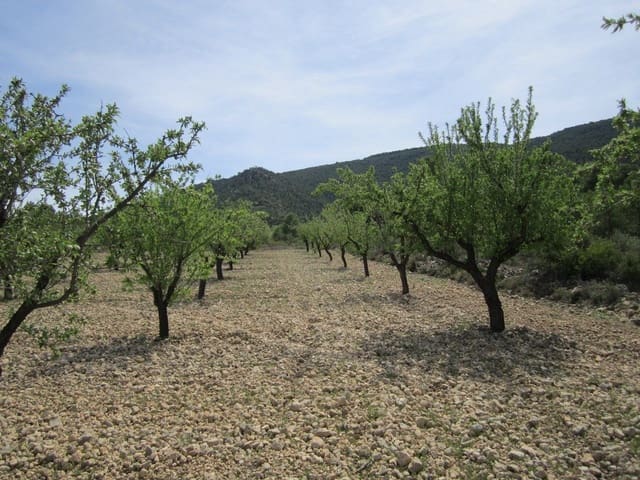 Terreno Non Edificato in vendita in Yecla - 15.000 € (Rif: 8951201)