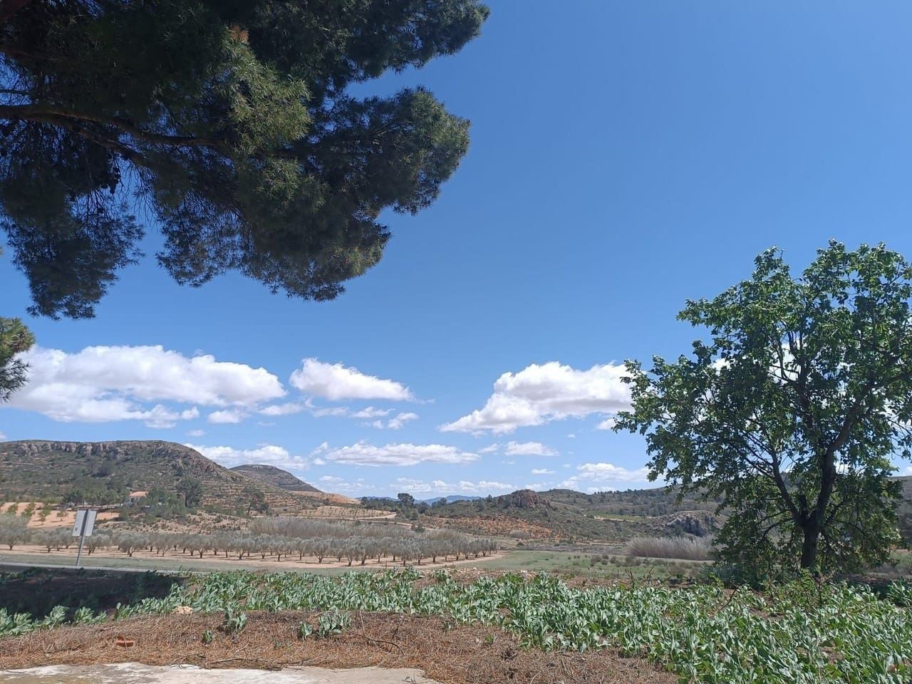 6 bedroom Finca/Country House for sale in Yecla - € 79,000 (Ref: 8951202)