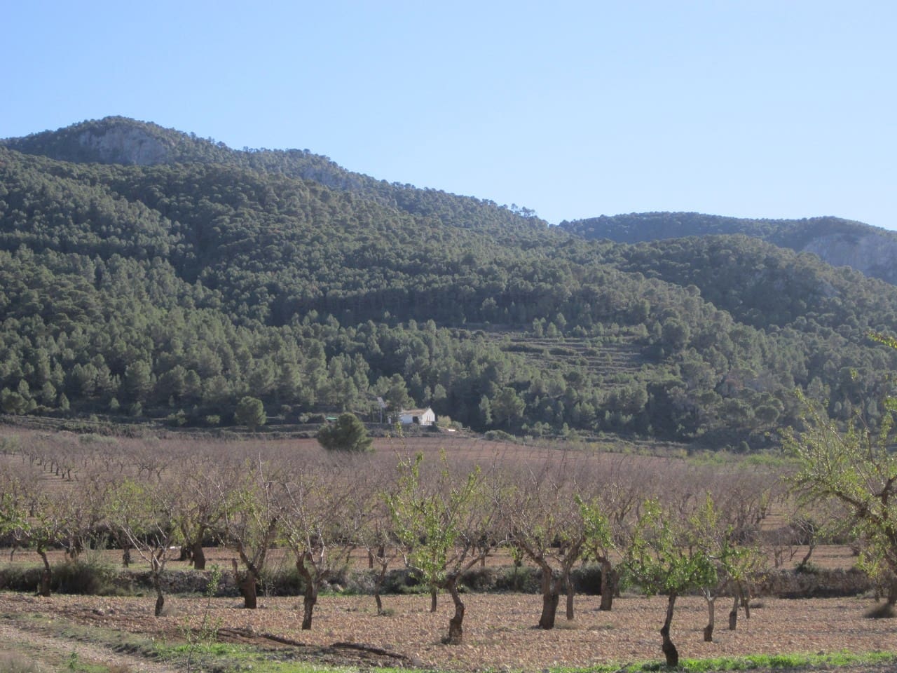 Grunde uden byggetilladelser til salg i Villena - € 24.000 (Ref: 8951230)