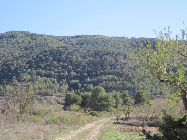 Mark till salu i Villena - 24 000 € (Ref: 8951230)