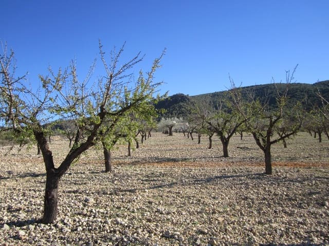 Mark till salu i Villena - 24 000 € (Ref: 8951230)