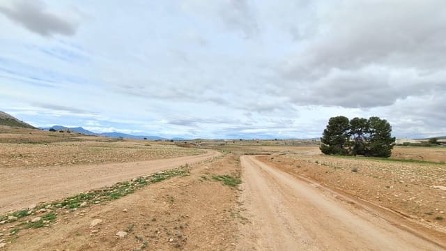 Undeveloped Land for sale in Torre del Rico, Jumilla - € 42,995 (Ref: 8954783)