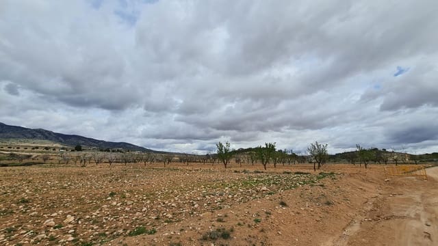 Undeveloped Land for sale in Torre del Rico, Jumilla - € 42,995 (Ref: 8954783)