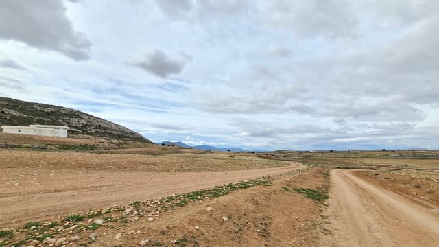 Undeveloped Land for sale in Torre del Rico, Jumilla - € 42,995 (Ref: 8954783)