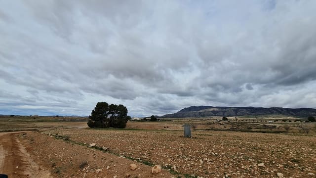 Undeveloped Land for sale in Torre del Rico, Jumilla - € 42,995 (Ref: 8954783)