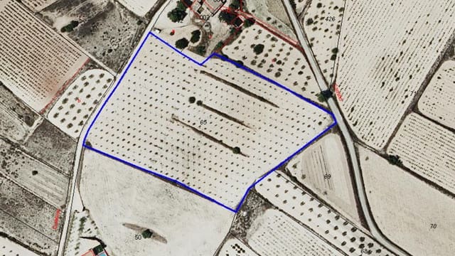 Undeveloped Land for sale in Ubeda, Pinoso - € 79,900 (Ref: 9009984)