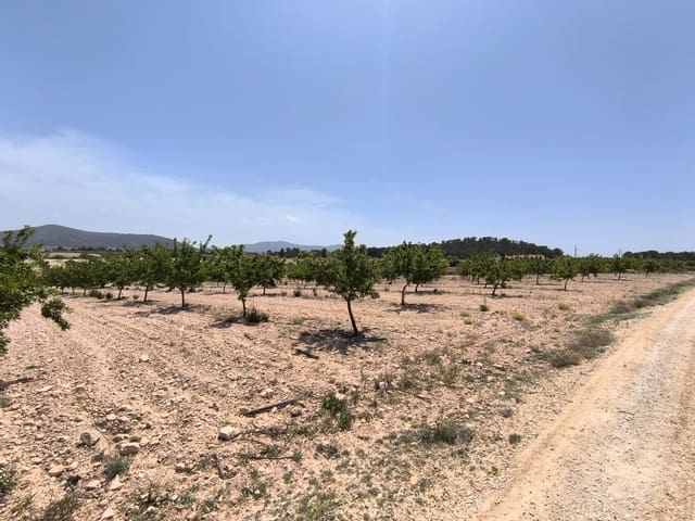 Undeveloped Land for sale in Ubeda, Pinoso - € 79,900 (Ref: 9009984)