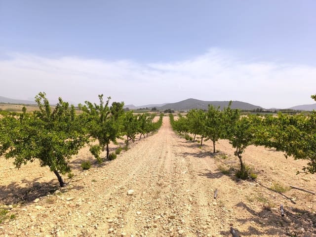 Undeveloped Land for sale in Ubeda, Pinoso - € 79,900 (Ref: 9009984)