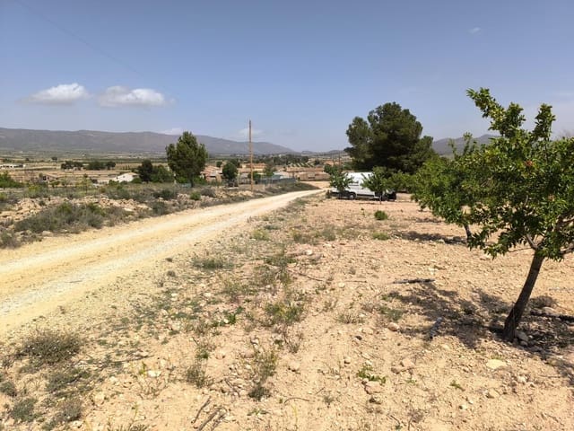 Undeveloped Land for sale in Ubeda, Pinoso - € 79,900 (Ref: 9009984)