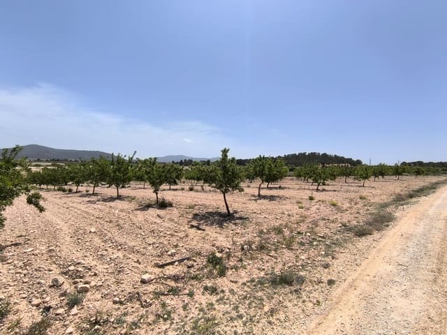 Grunde uden byggetilladelser til salg i Ubeda, Pinoso - € 79.900 (Ref: 9009984)