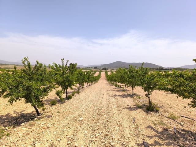 Grunde uden byggetilladelser til salg i Ubeda, Pinoso - € 79.900 (Ref: 9009984)