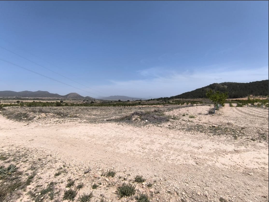 Terreno Non Edificato in vendita in Monovar / Monover - 46.900 € (Rif: 9016569)