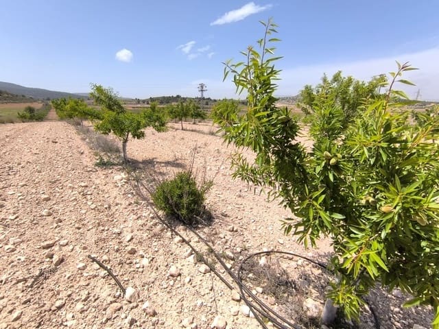 Terreno Non Edificato in vendita in Monóvar / Monóver - 46.900 € (Rif: 9016569)
