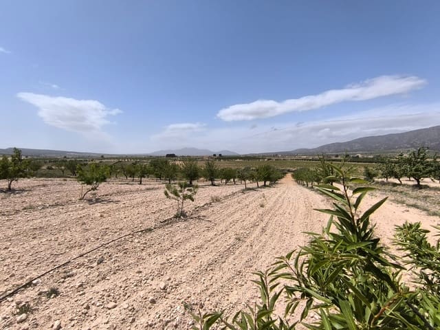 Terreno/Finca Rústica en Pinoso en venta - 22.500 € (Ref: 9022139)