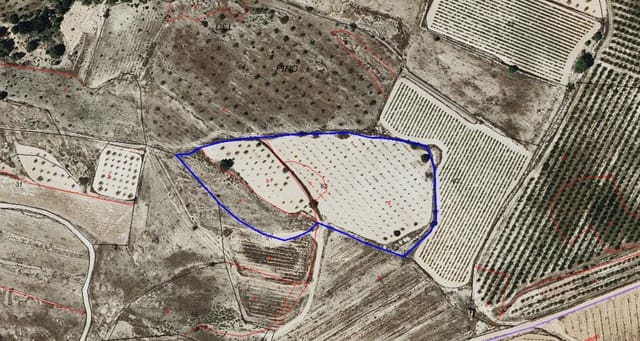 Teren niezagospodarowany na sprzedaż w Monóvar / Monóver - 44 900 € (Ref: 9022140)