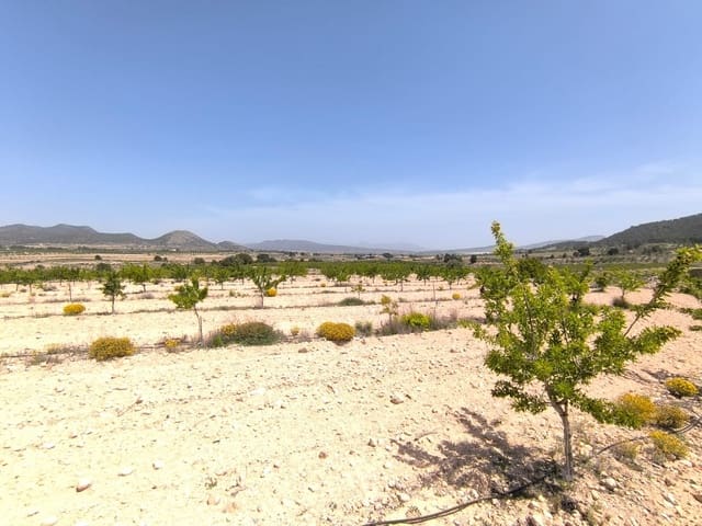 Grunde uden byggetilladelser til salg i Monóvar / Monóver - € 44.900 (Ref: 9022140)