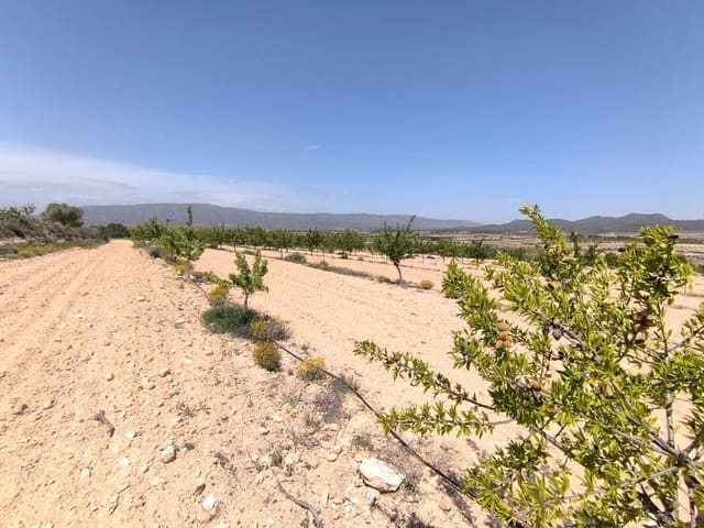 Teren niezagospodarowany na sprzedaż w Monóvar / Monóver - 44 900 € (Ref: 9022140)