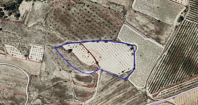 Undeveloped Land for sale in Monóvar / Monóver - € 44,900 (Ref: 9022140)