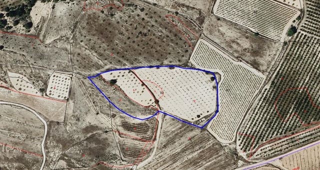 Ubebygd land til salgs i Monóvar / Monóver - € 44 900 (Ref: 9022140)