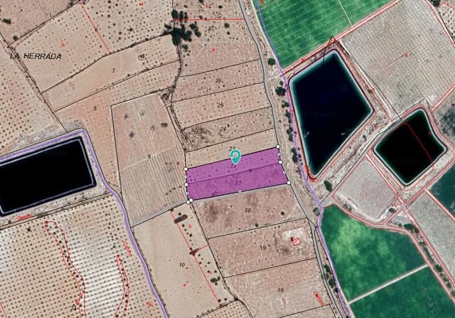 Undeveloped Land for sale in Monóvar / Monóver - € 38,500 (Ref: 9046504)