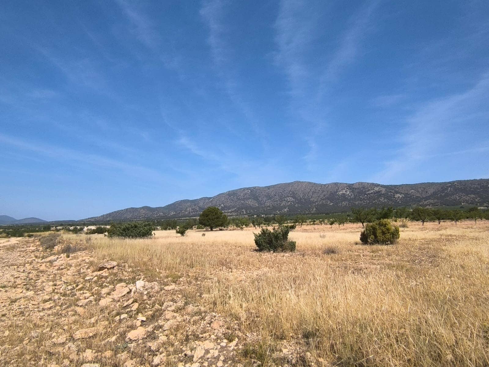 Mark till salu i Monovar / Monover - 38 500 € (Ref: 9046504)